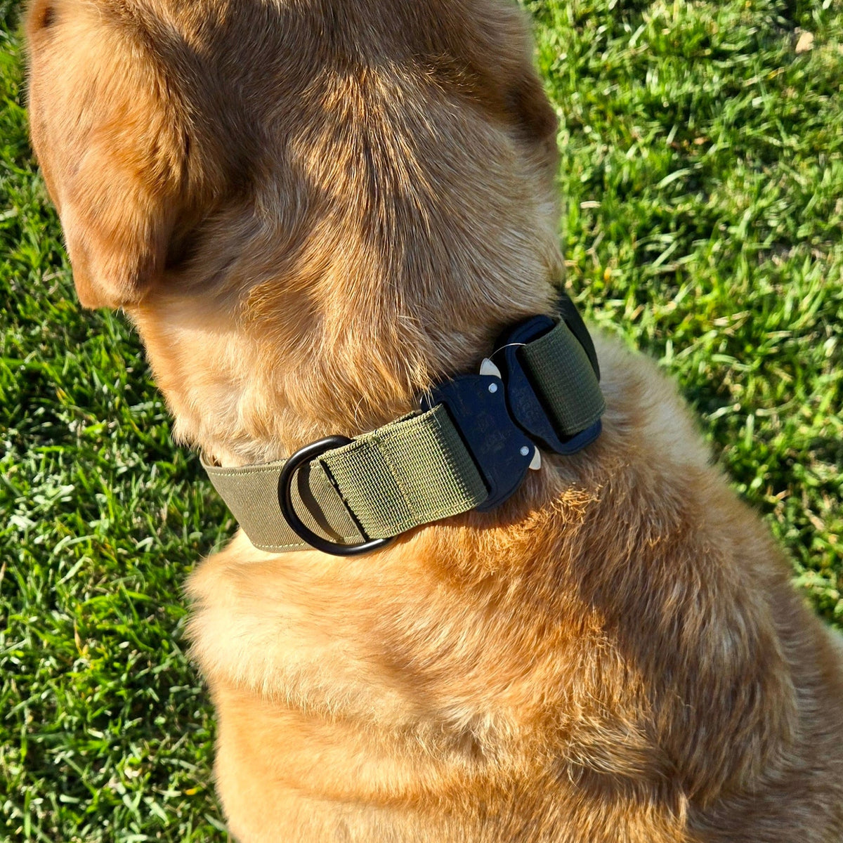 K9 Pro™ Collar: Maximum Strength and Control