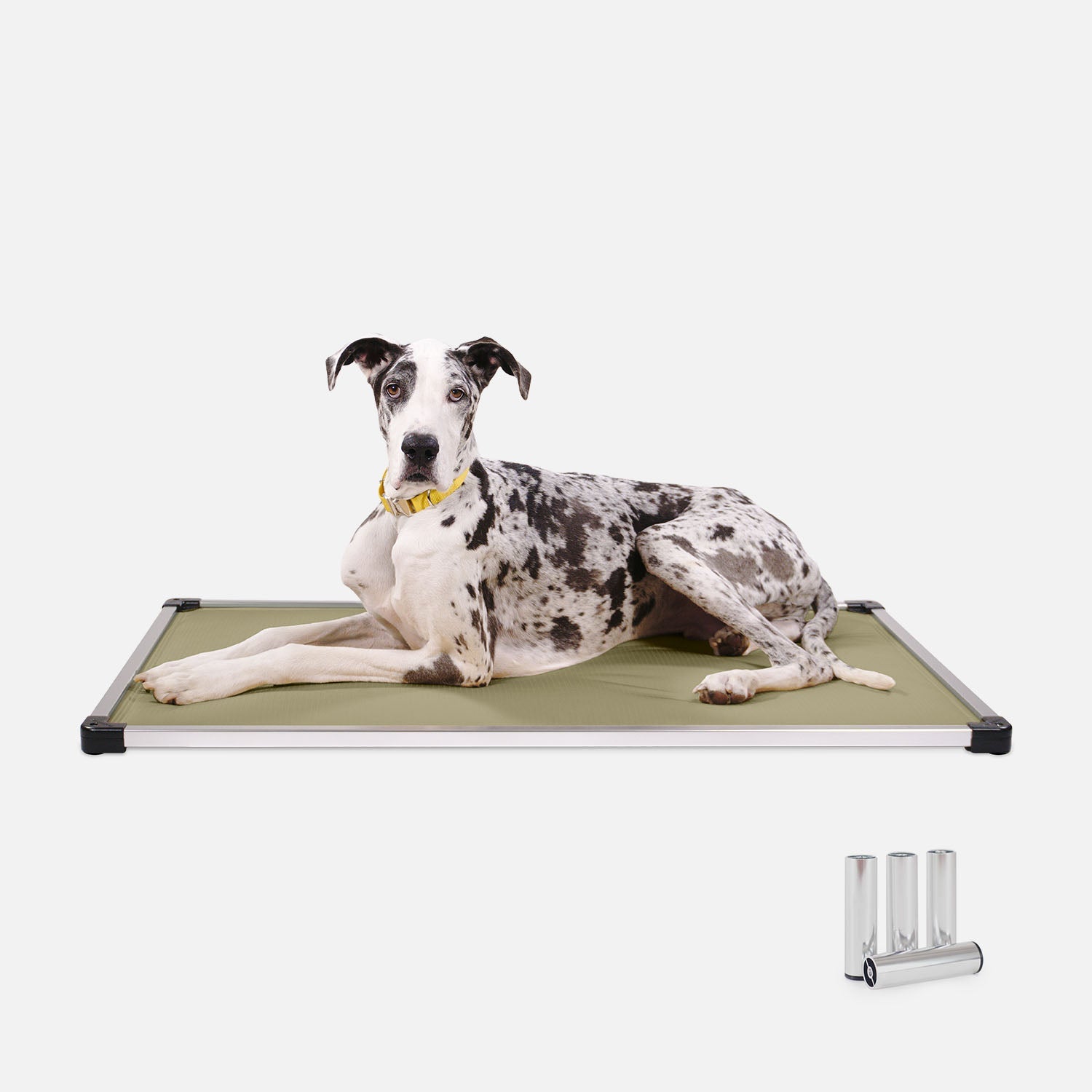 Chew Proof Armored™ Padded Dog Crate Bed