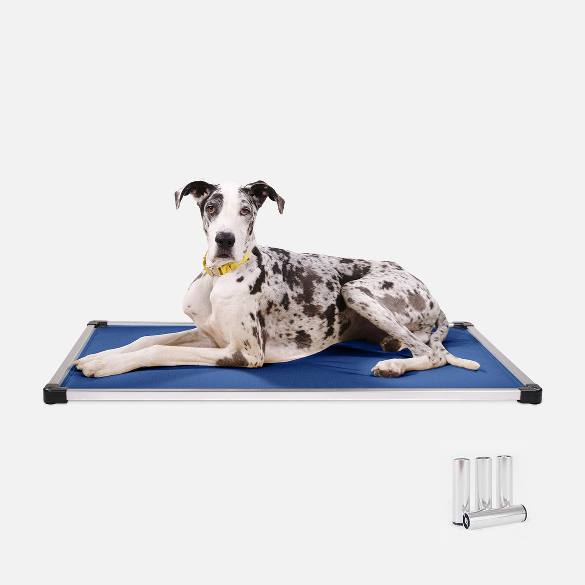 Chew Proof Armored™ Padded Dog Crate Bed - Open Box