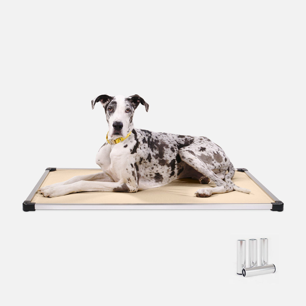 Chew Proof Armored™ Padded Dog Crate Bed