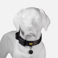 K9 Pro™ Dog Collar AirTag Holder Kit