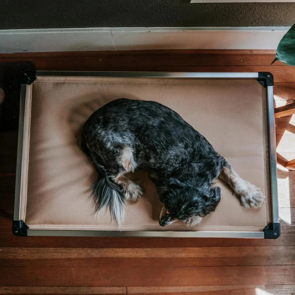 Chew Proof Armored™ Padded Dog Crate Bed - Open Box