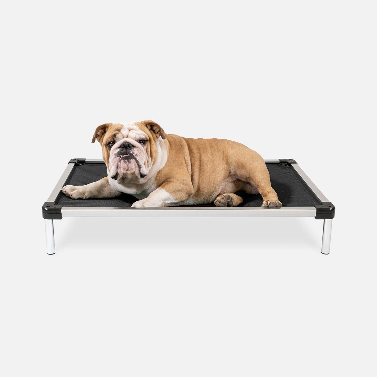 Chew Proof Armored™ Ripstop Dog Bed - Open Box