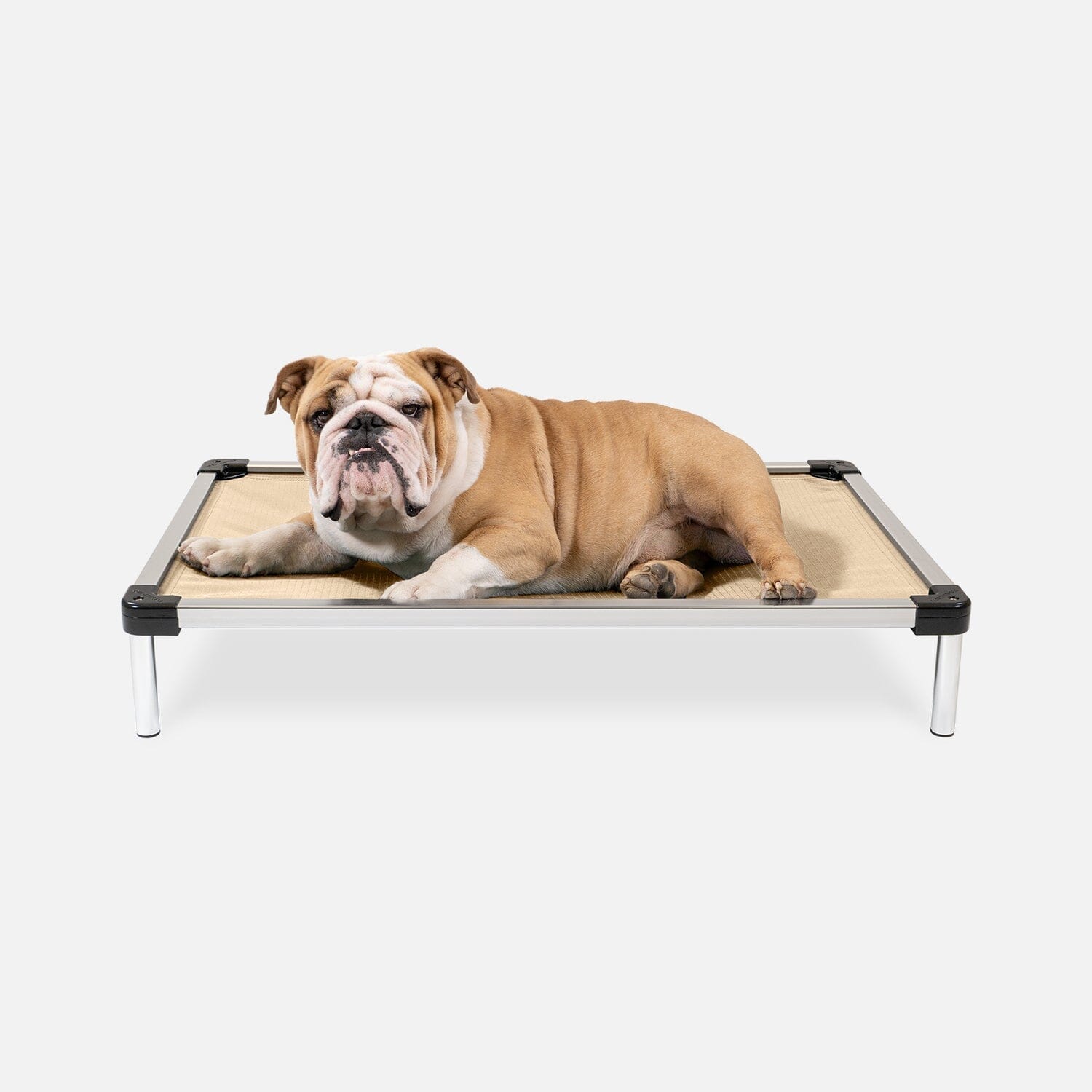 Chew Proof Armored™ Ripstop Dog Bed - Open Box