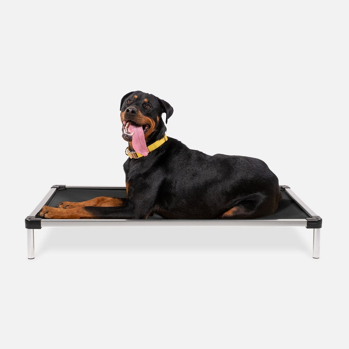 Chew Proof Armored™ Ripstop Dog Bed - Open Box