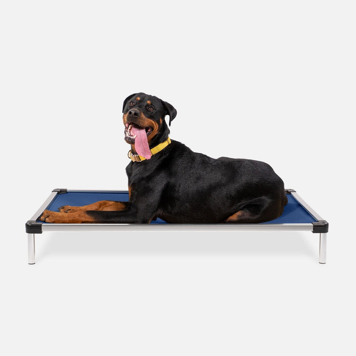 Chew Proof Armored™ Ripstop Dog Bed - Open Box