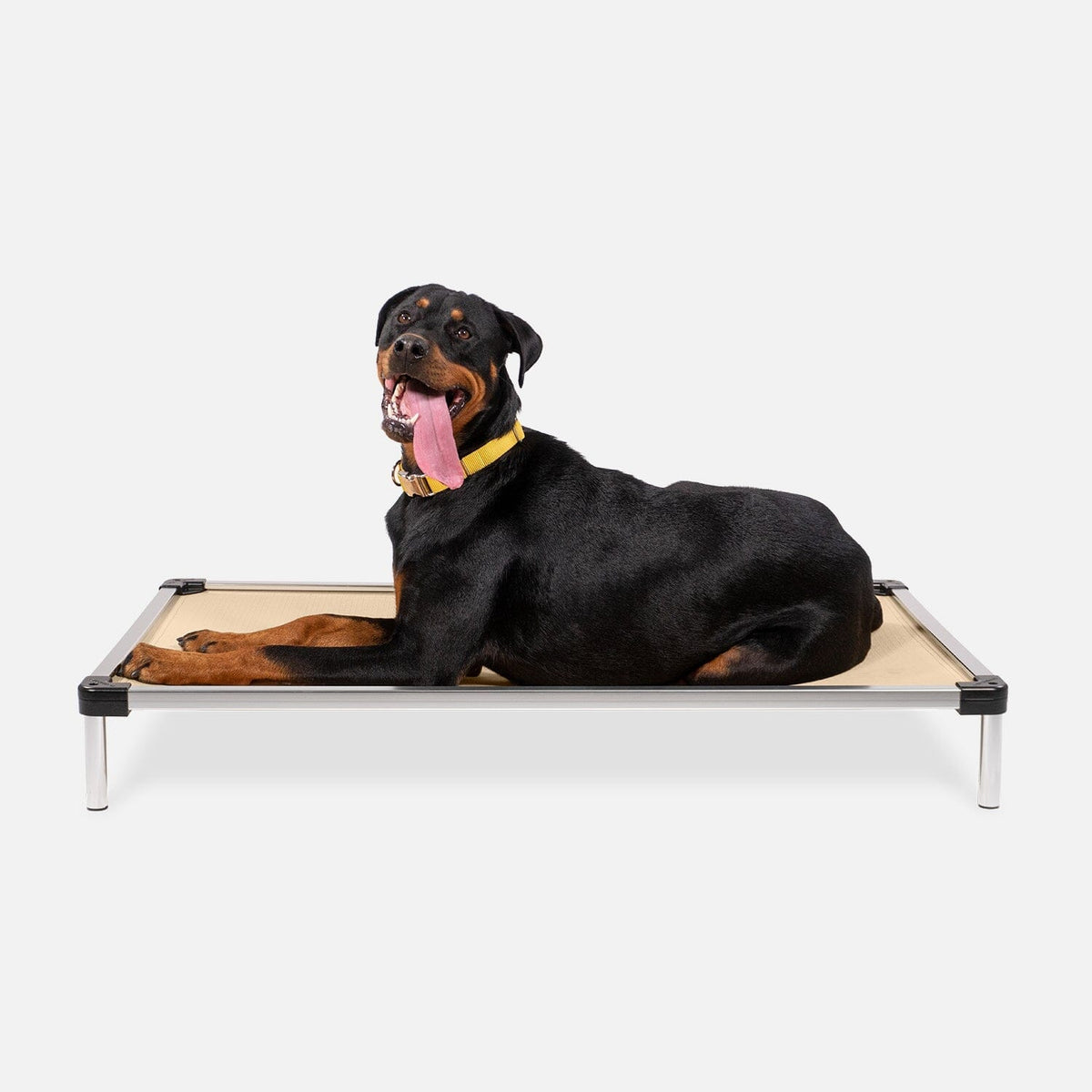 Chew Proof Armored™ Ripstop Dog Bed - Open Box