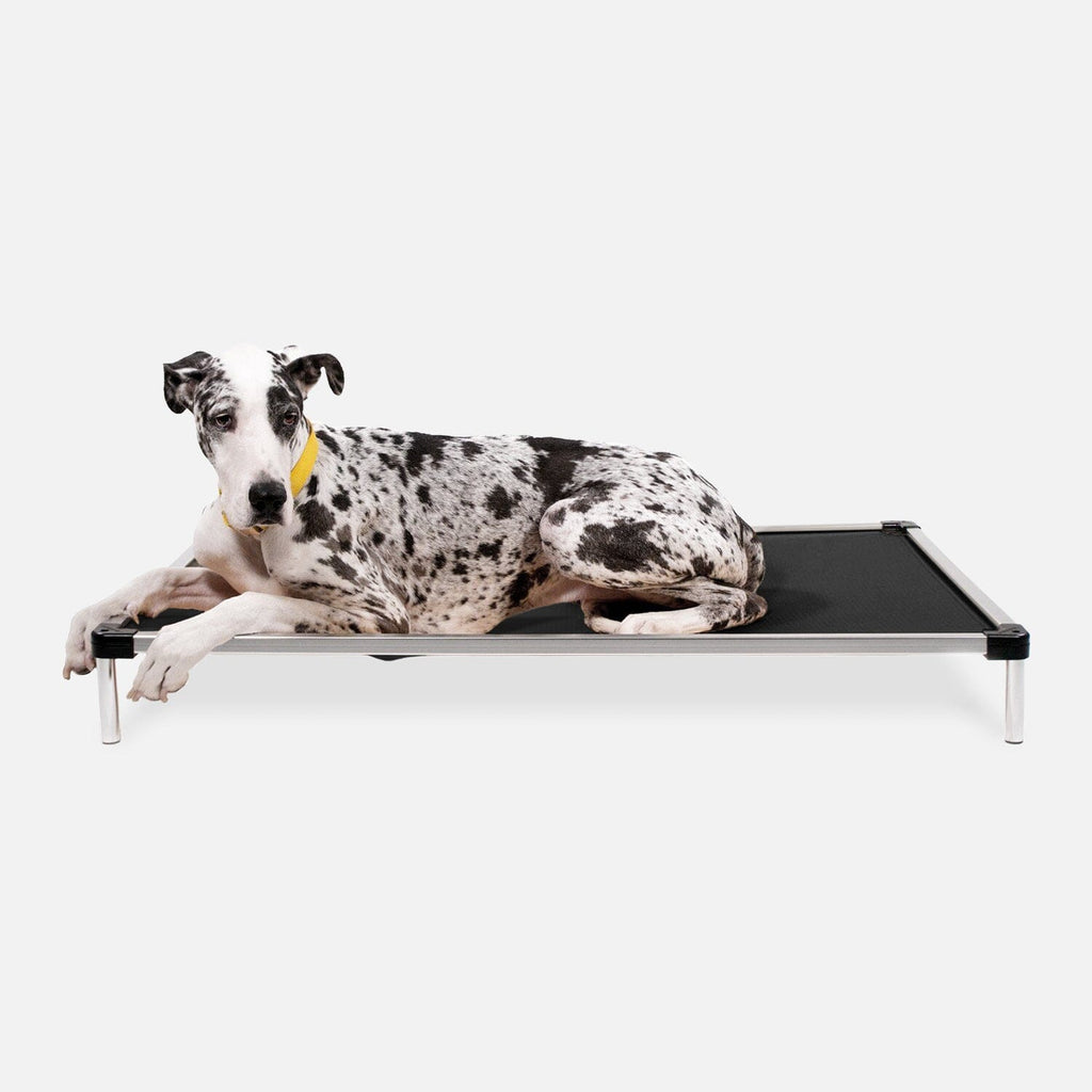 Chew Proof Armored™ Ripstop Dog Bed - Open Box