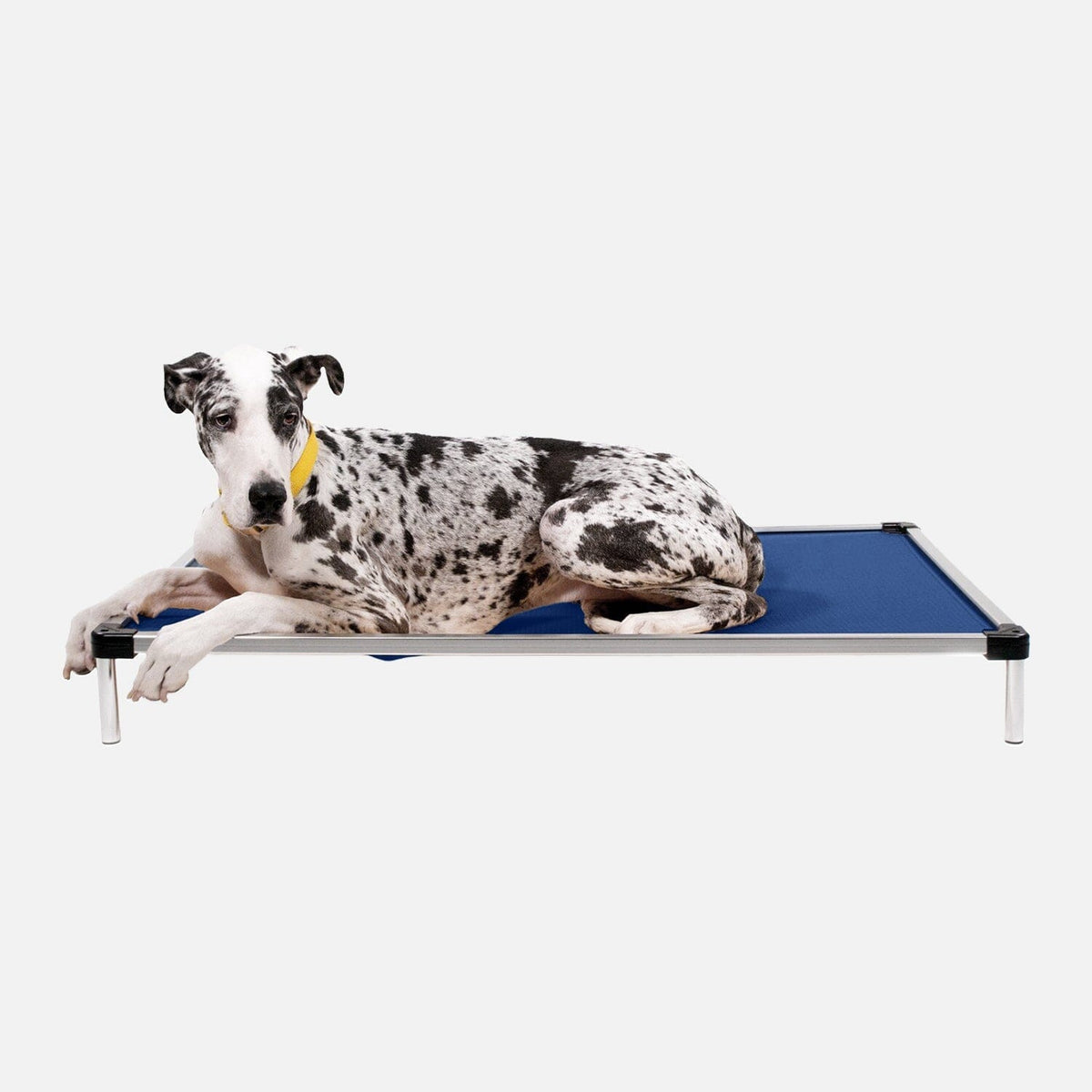 Chew Proof Armored™ Ripstop Dog Bed - Open Box