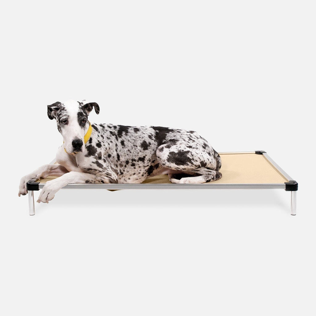 Chew Proof Armored™ Ripstop Dog Bed - Open Box