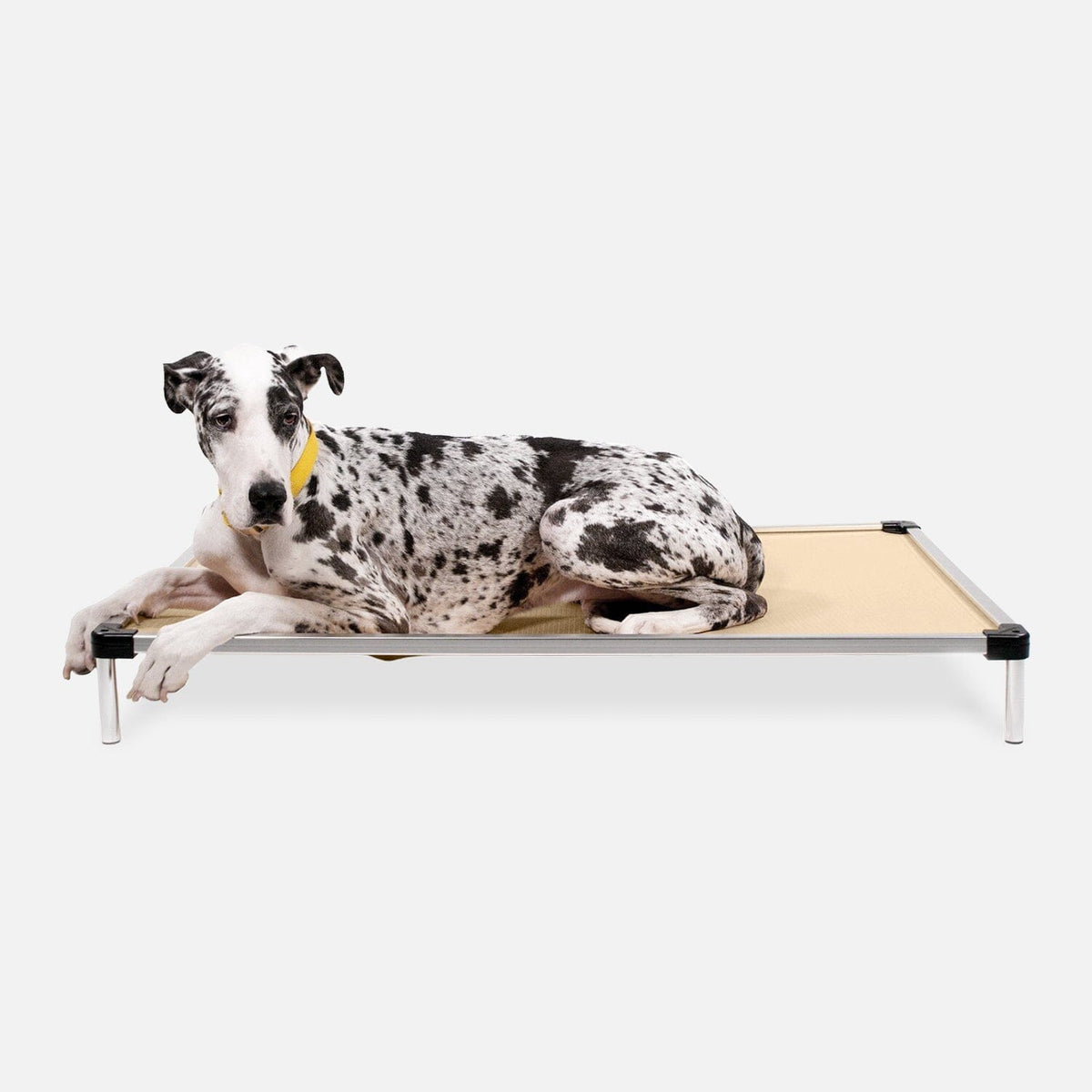 Chew Proof Armored™ Ripstop Dog Bed - Open Box