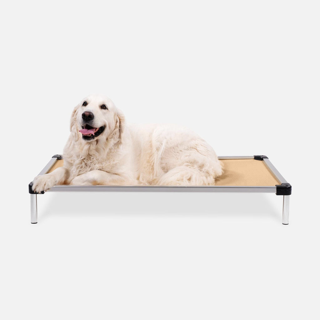 Chew Proof Armored™ Ripstop Elevated Dog Bed