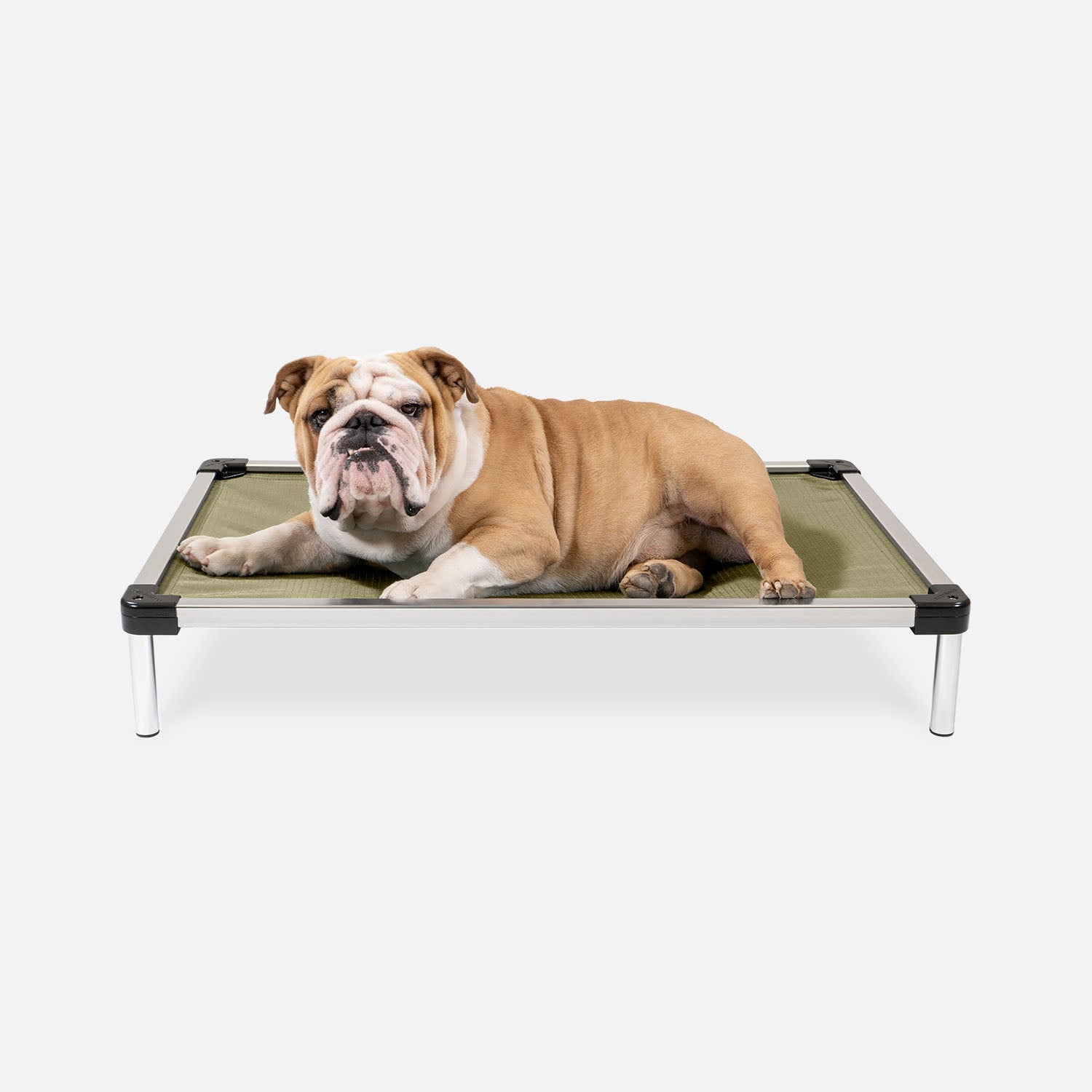 Chew Proof Armored™ Ripstop Elevated Dog Bed