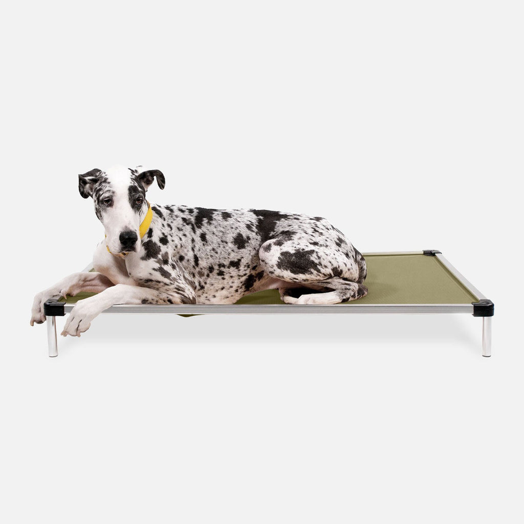Chew Proof Armored™ Ripstop Elevated Dog Bed