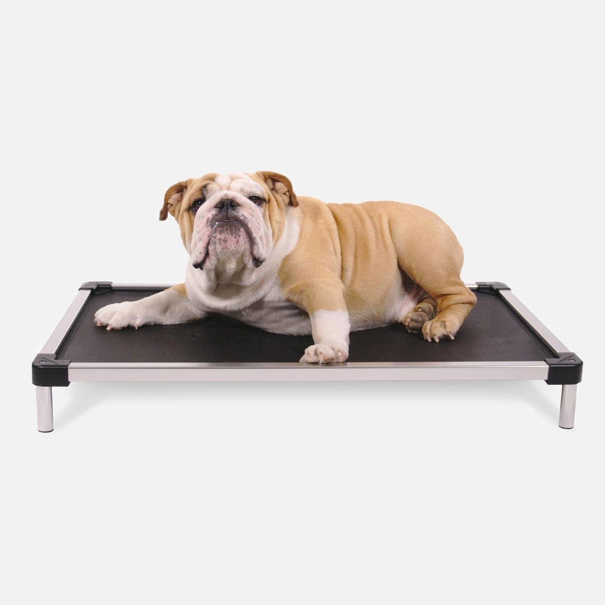 Chew Proof Armored™ Mesh Dog Bed - Open Box
