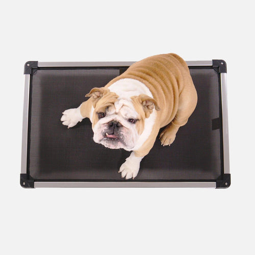 Chew Proof Armored™ Mesh Dog Bed - Open Box
