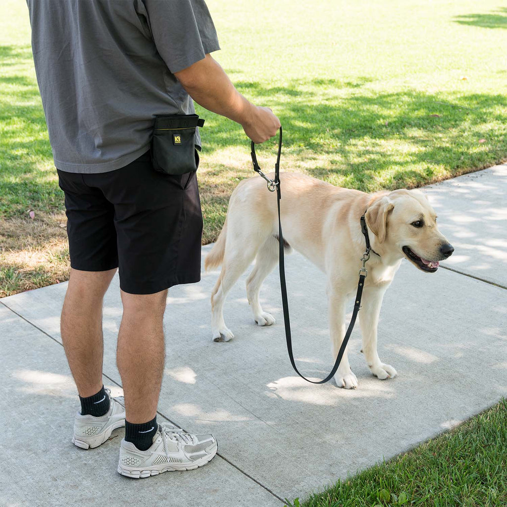 K9 Training™ Vegan Leather Dog Leash