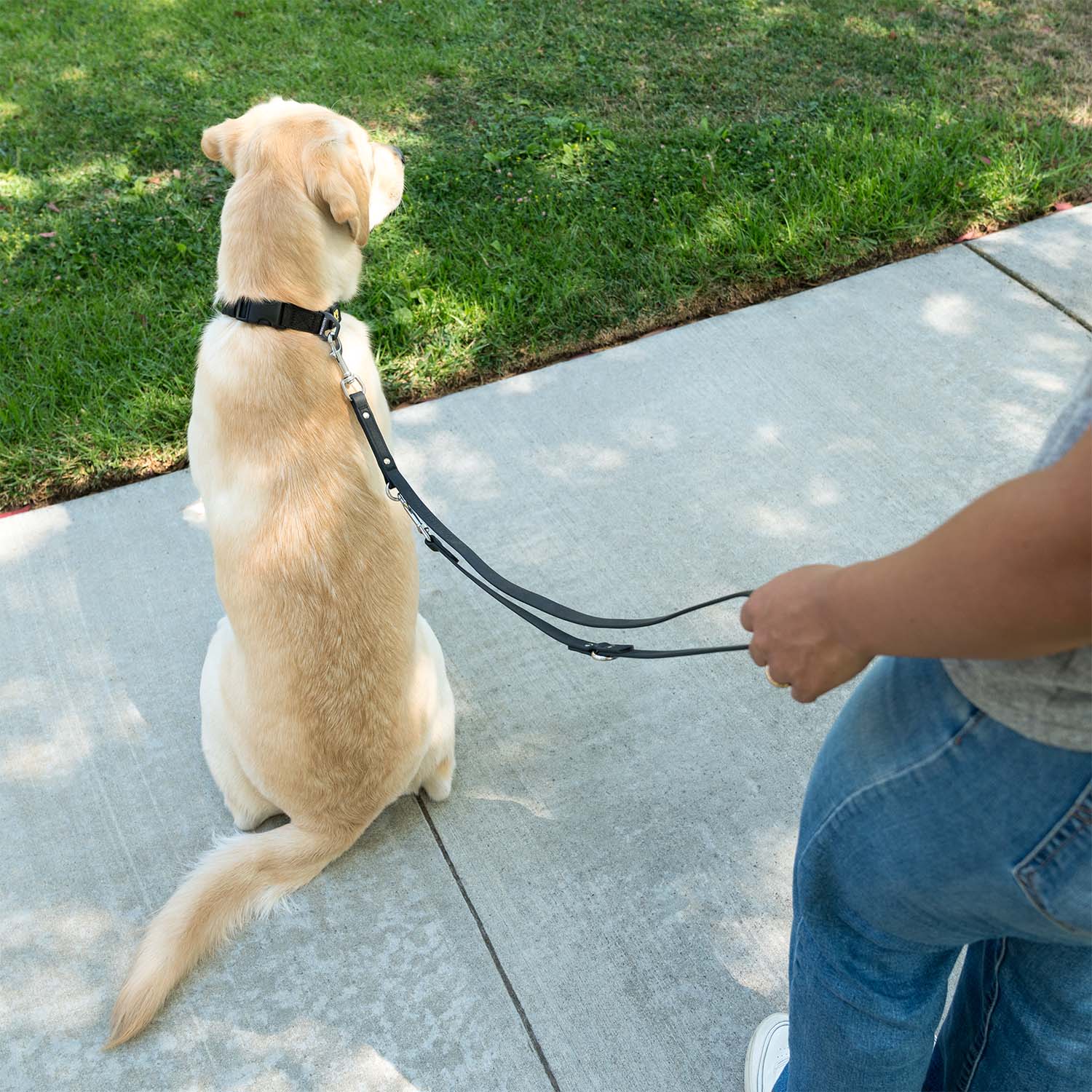 K9 Training™ Vegan Leather Dog Leash