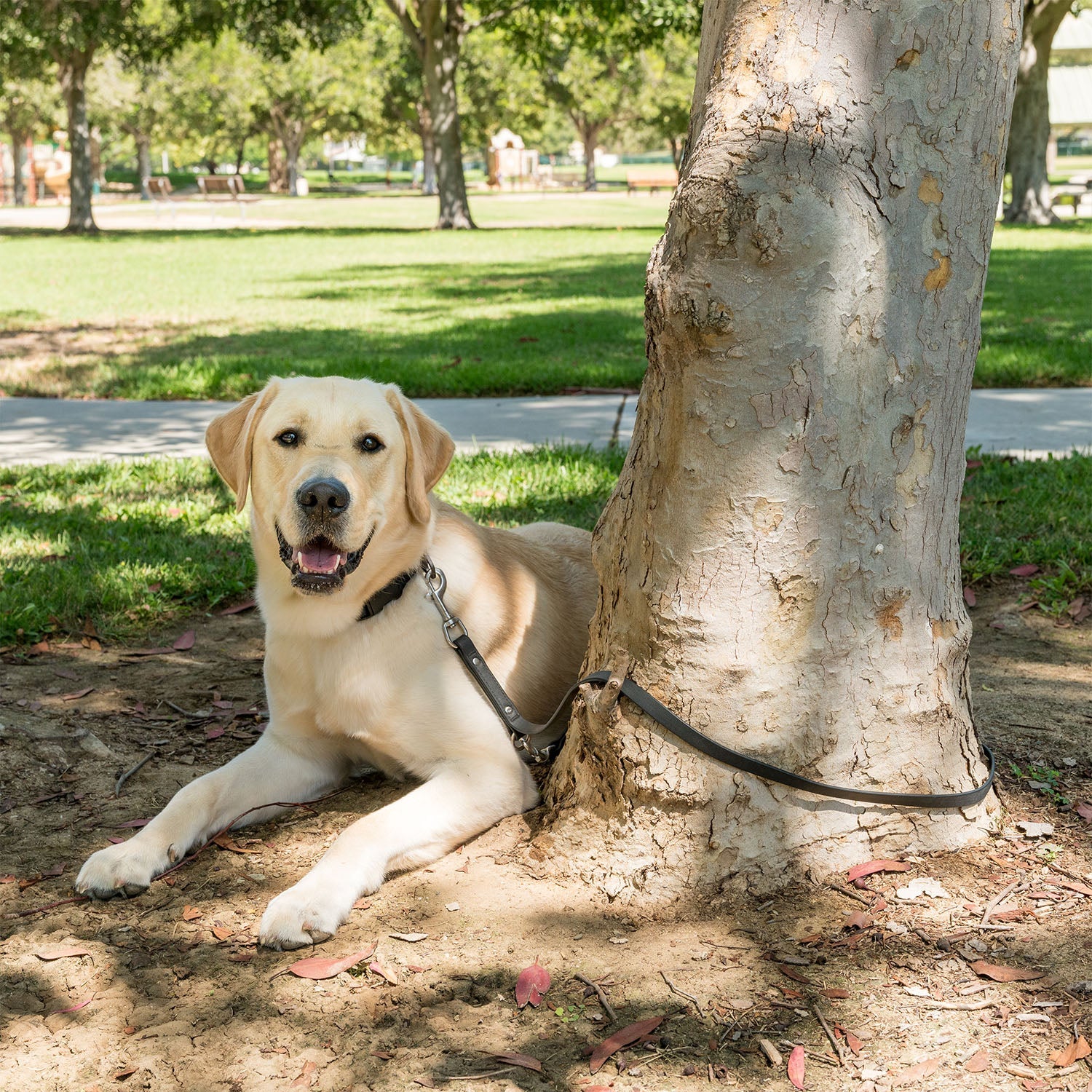 K9 Training™ Vegan Leather Dog Leash