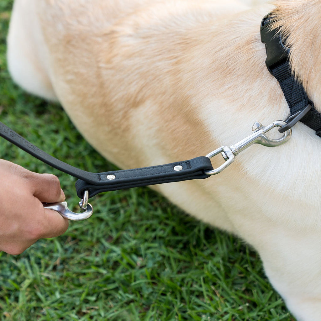 K9 Training™ Vegan Leather Dog Leash