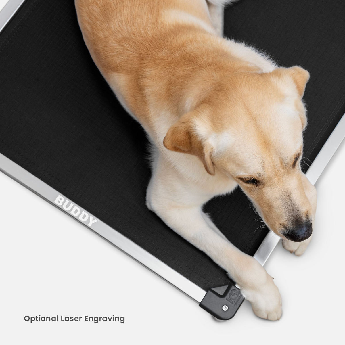 Chew Proof Armored™ Padded Dog Crate Bed