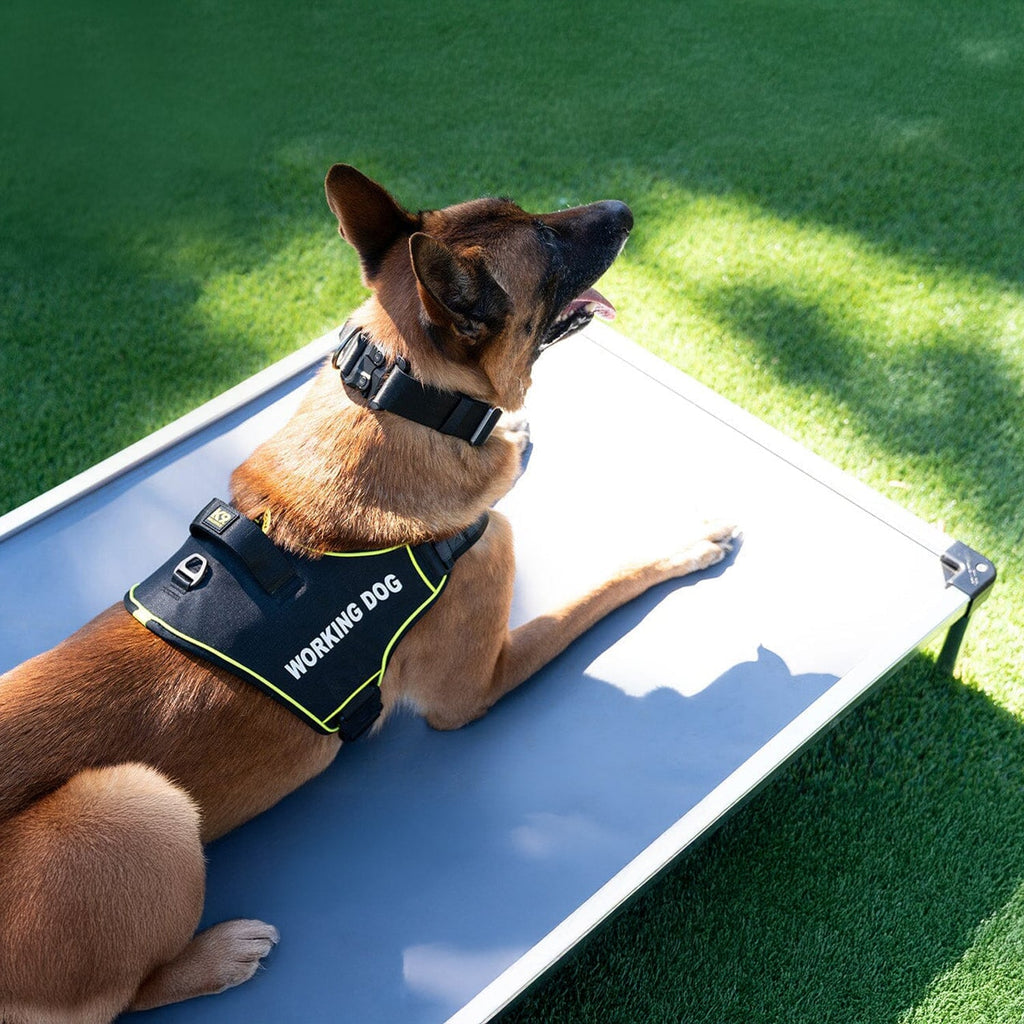 K9 Pro™ Dog Harness