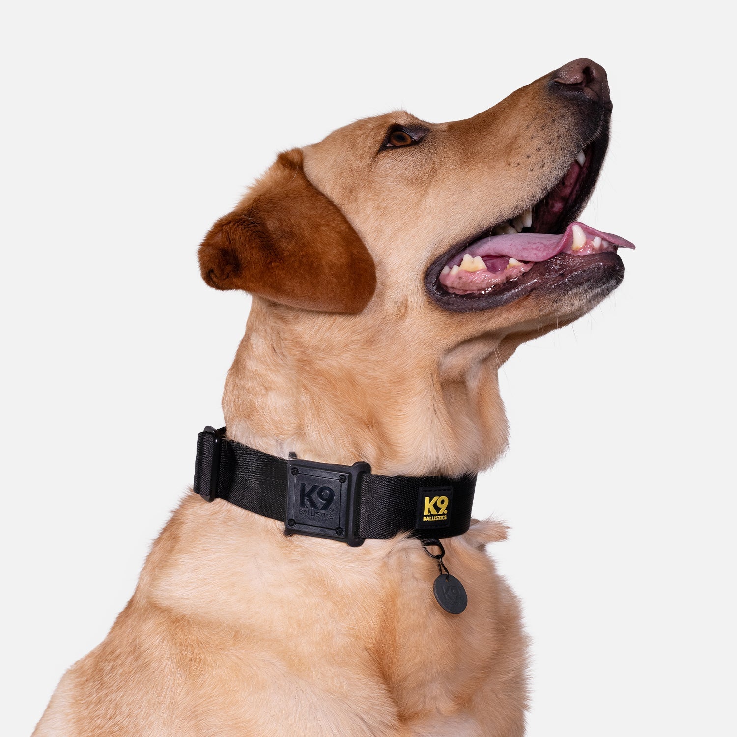 K9 Pro™ Dog Collar AirTag Holder Kit