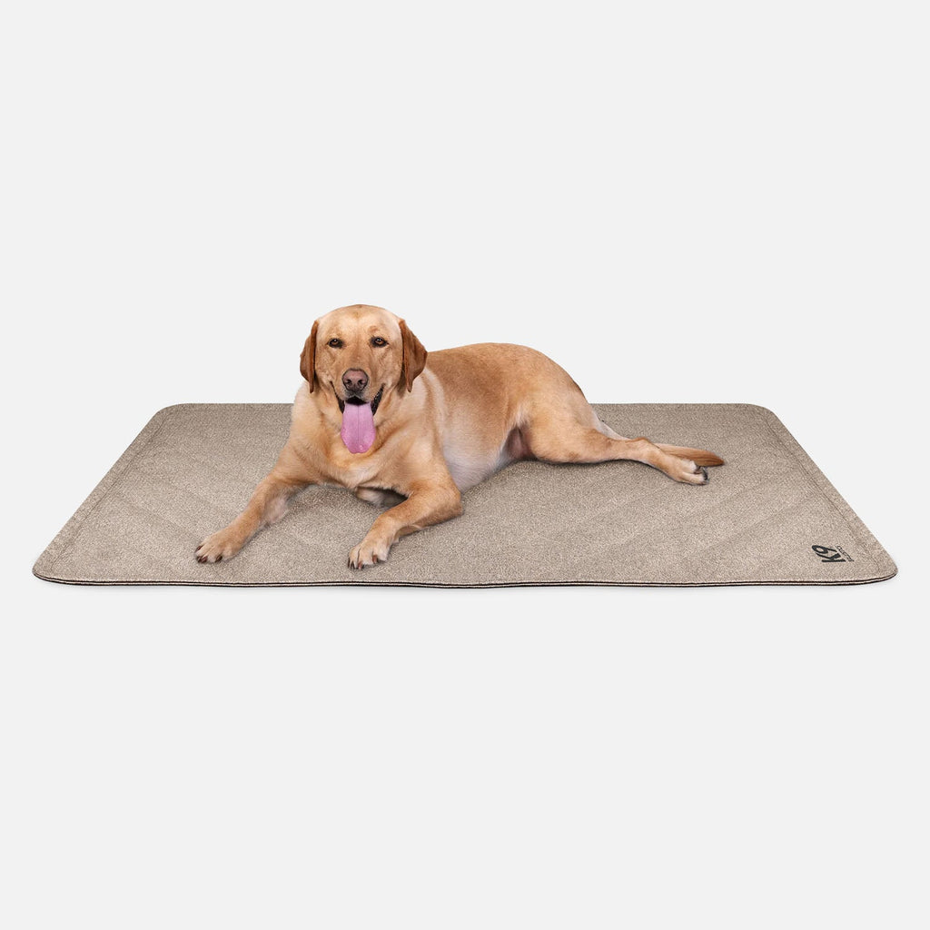 Tough Ripstop™ Furniture Protector Blanket