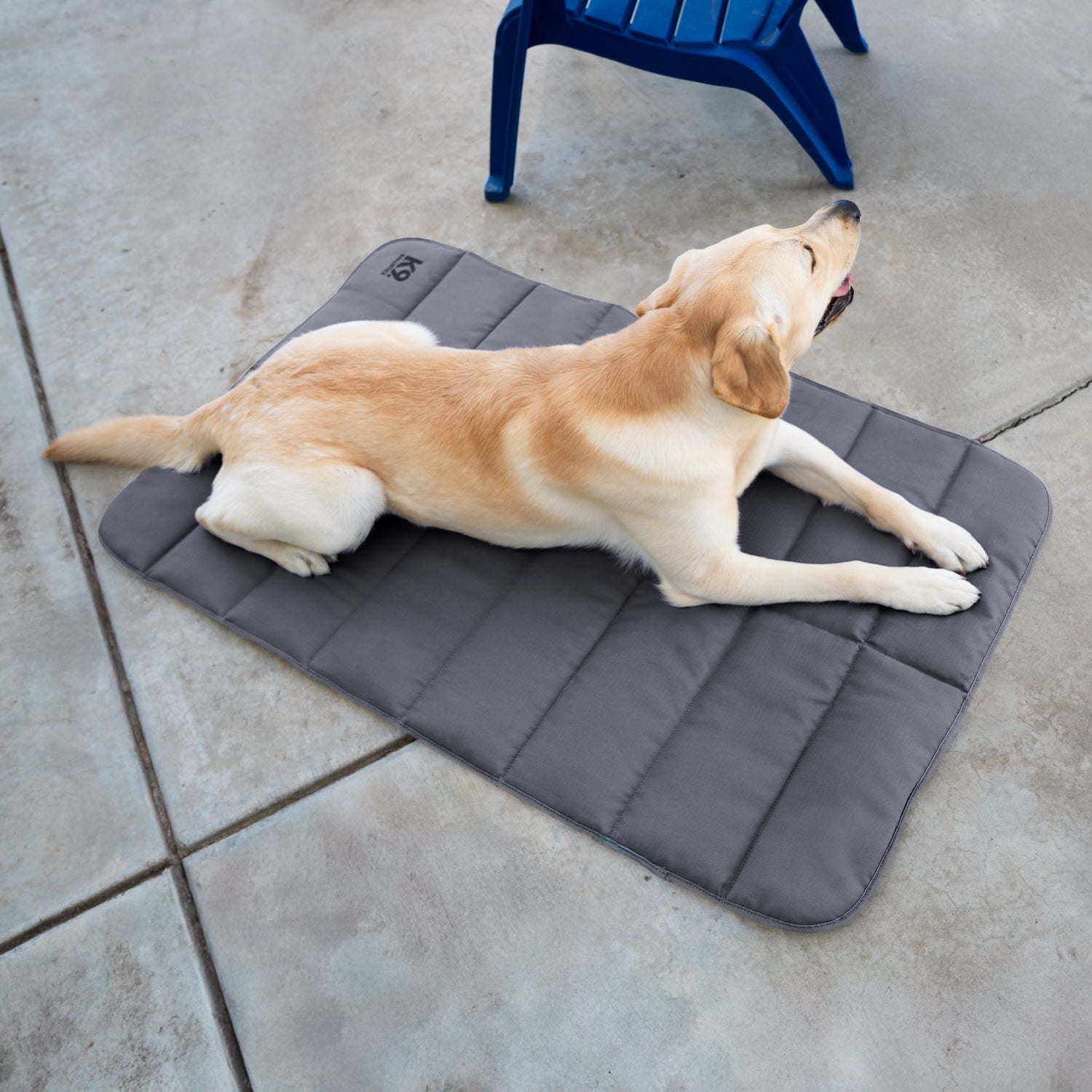Tough Ripstop™ Dog Travel Mat