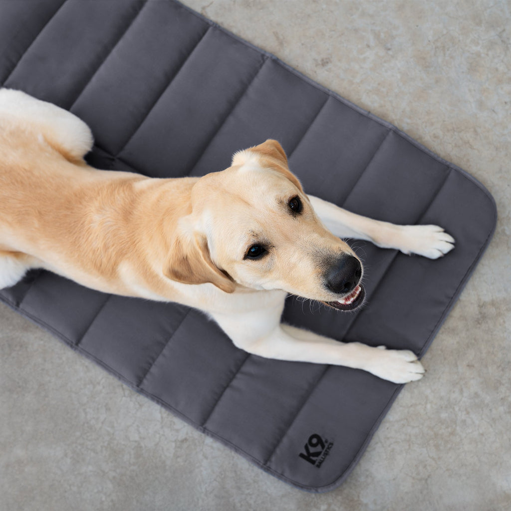 Tough Ripstop™ Dog Travel Mat