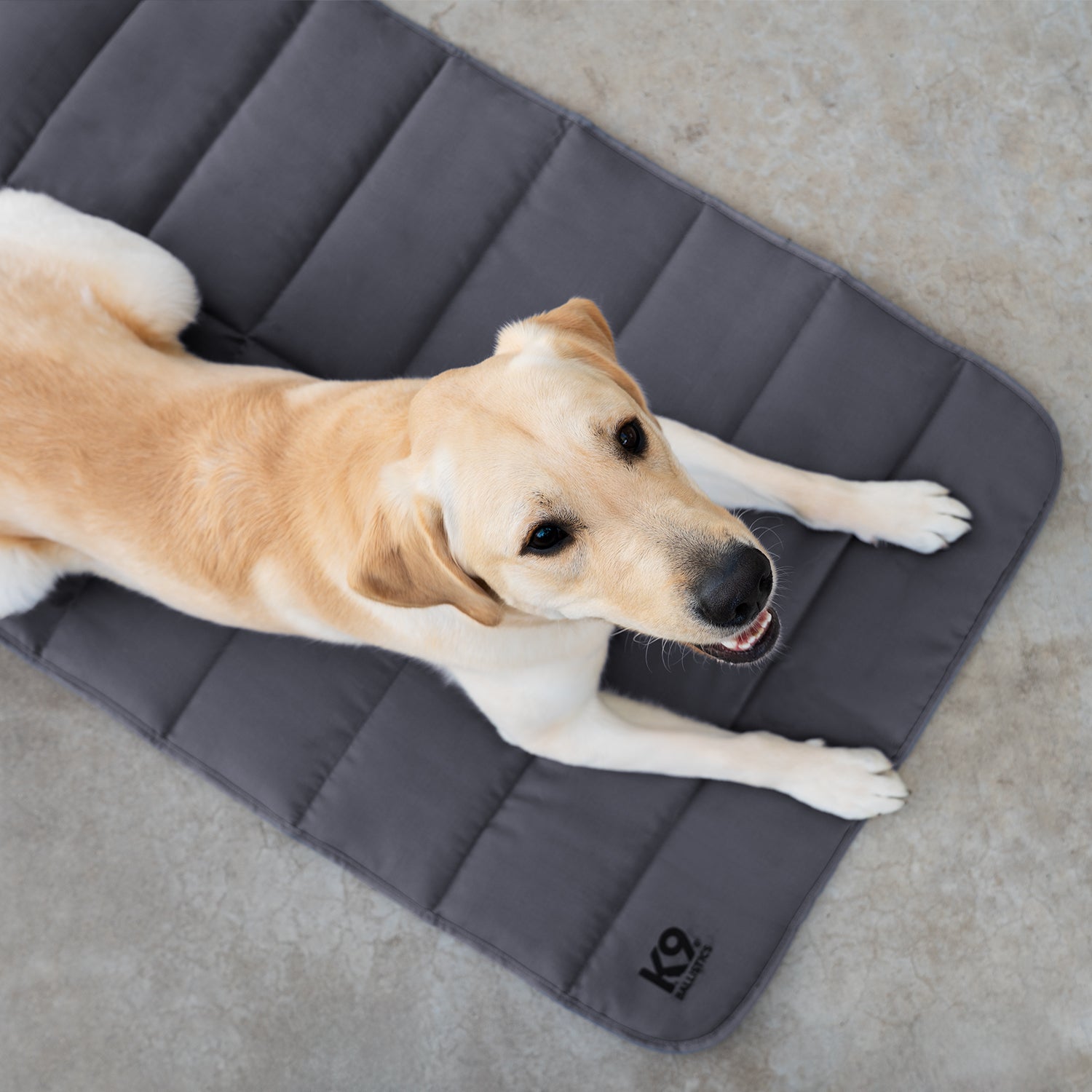 Tough Ripstop™ Dog Travel Mat