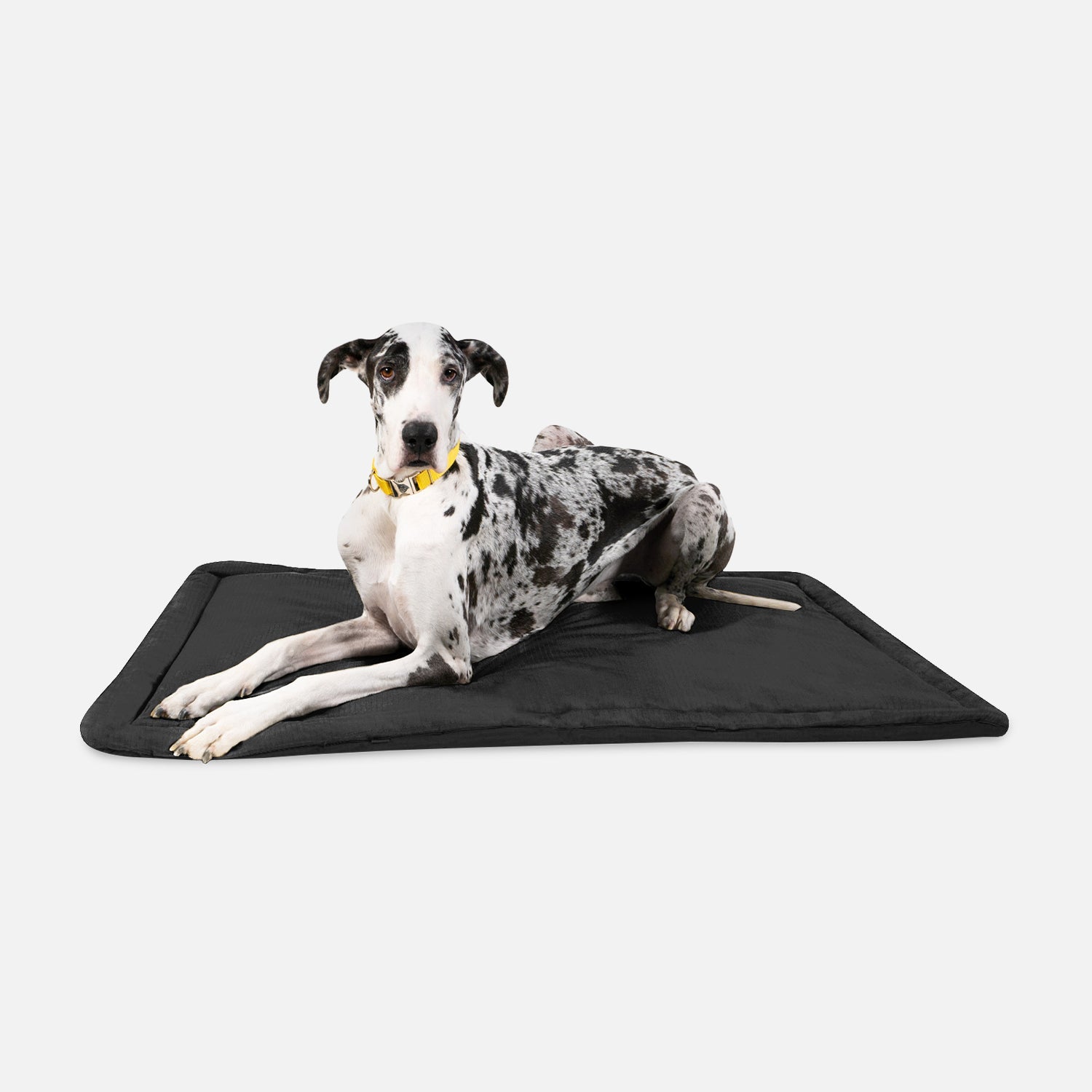Tough Ripstop™ Dog Crate Pad - Open Box
