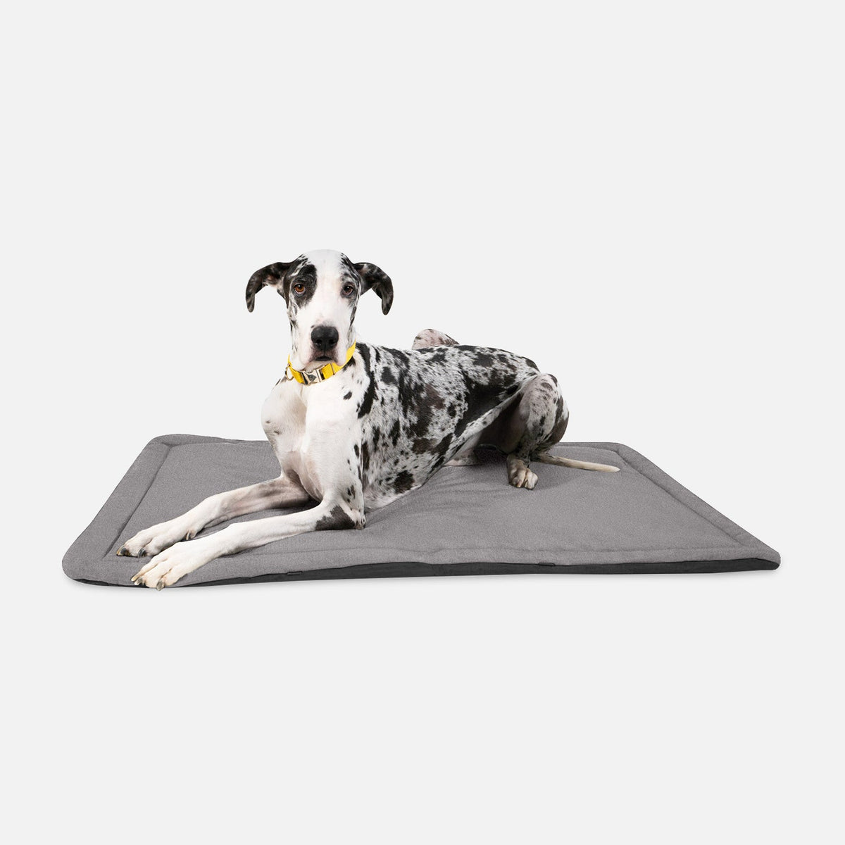 Tough Ripstop™ Dog Crate Pad - Open Box
