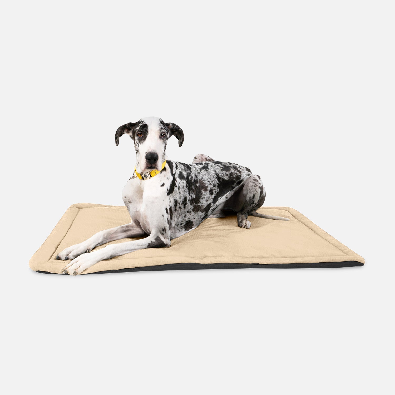 Tough Ripstop™ Dog Crate Pad - Open Box