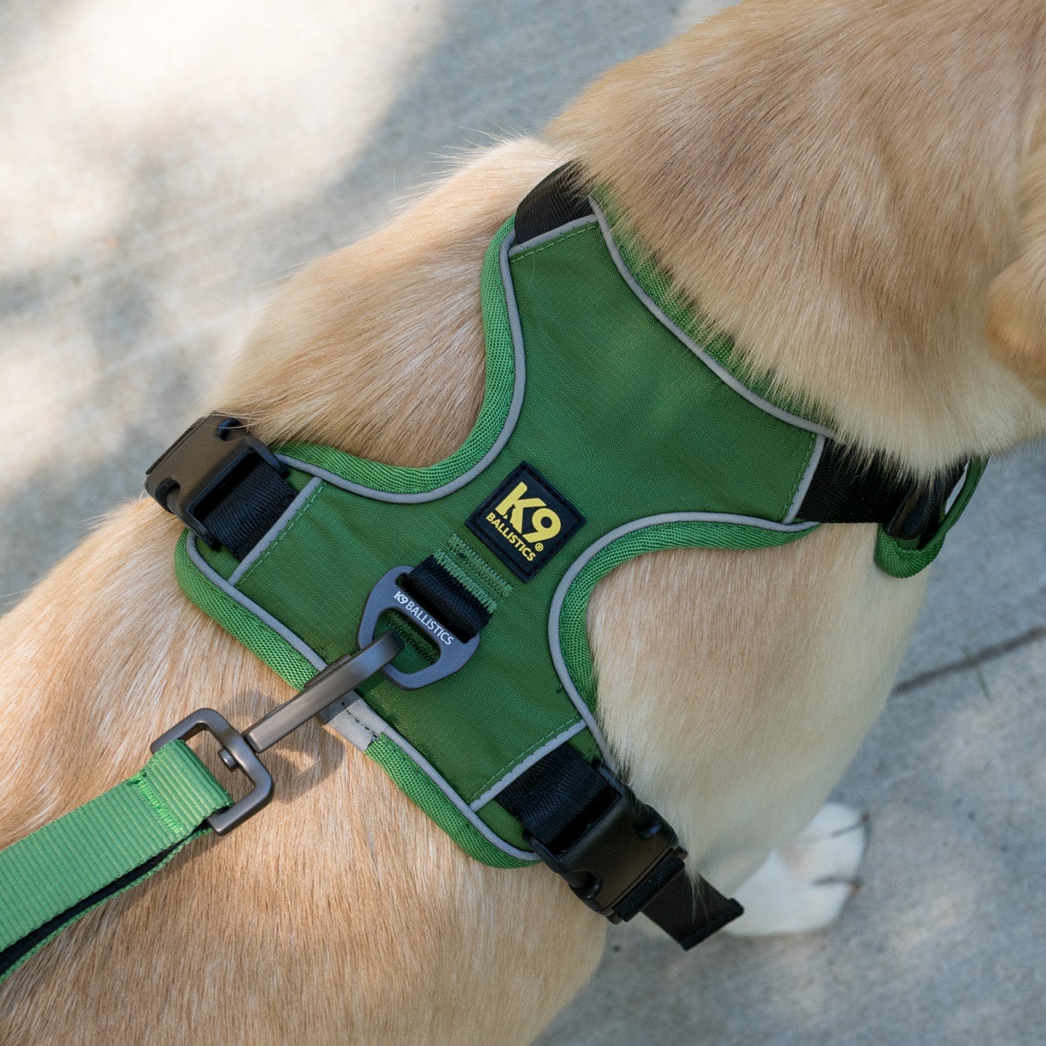 K9 Everyday™ Dog Harness