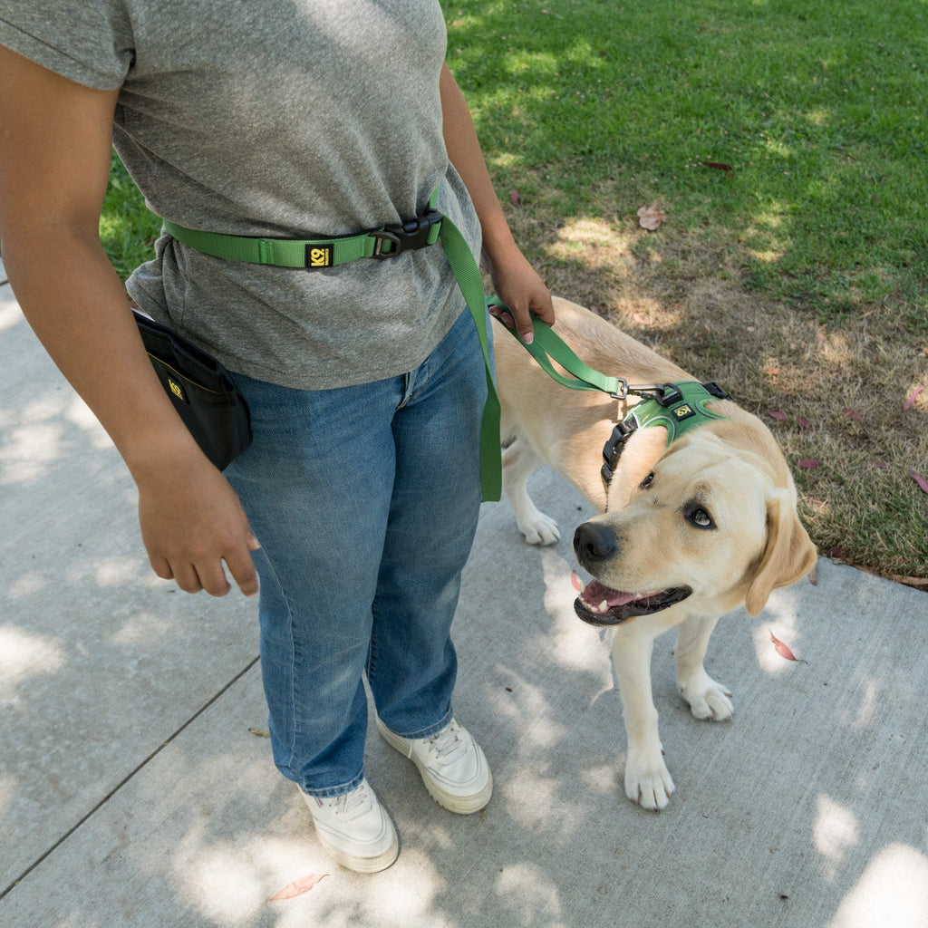 K9 Everyday™ Dog Leash