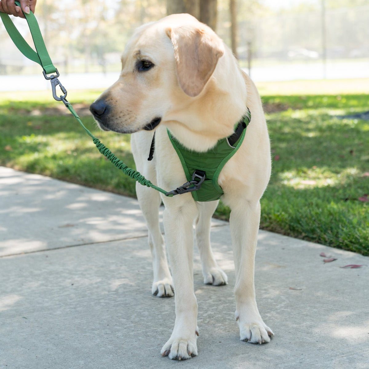 K9 Everyday™ Dog Harness