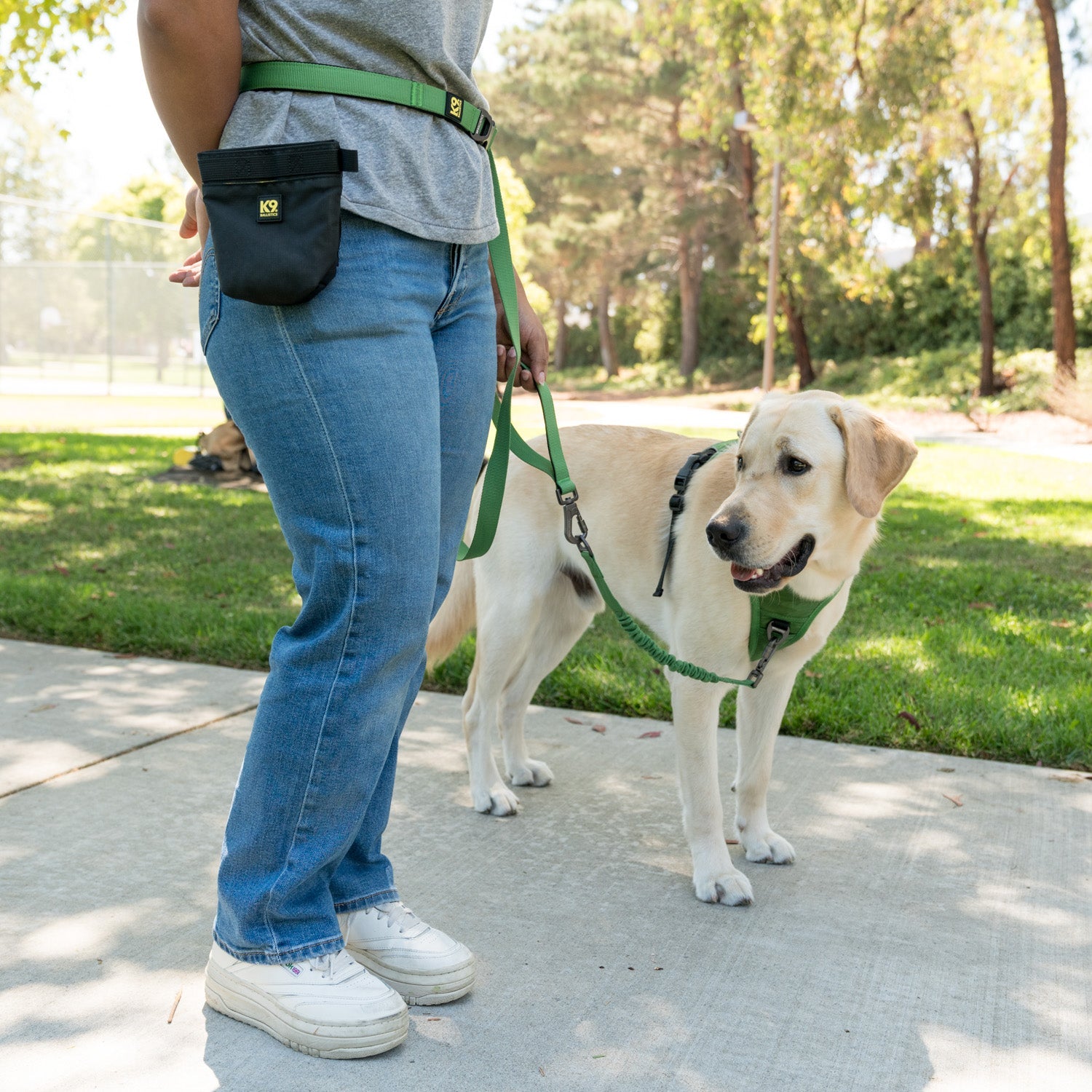 K9 Everyday™ Dog Harness