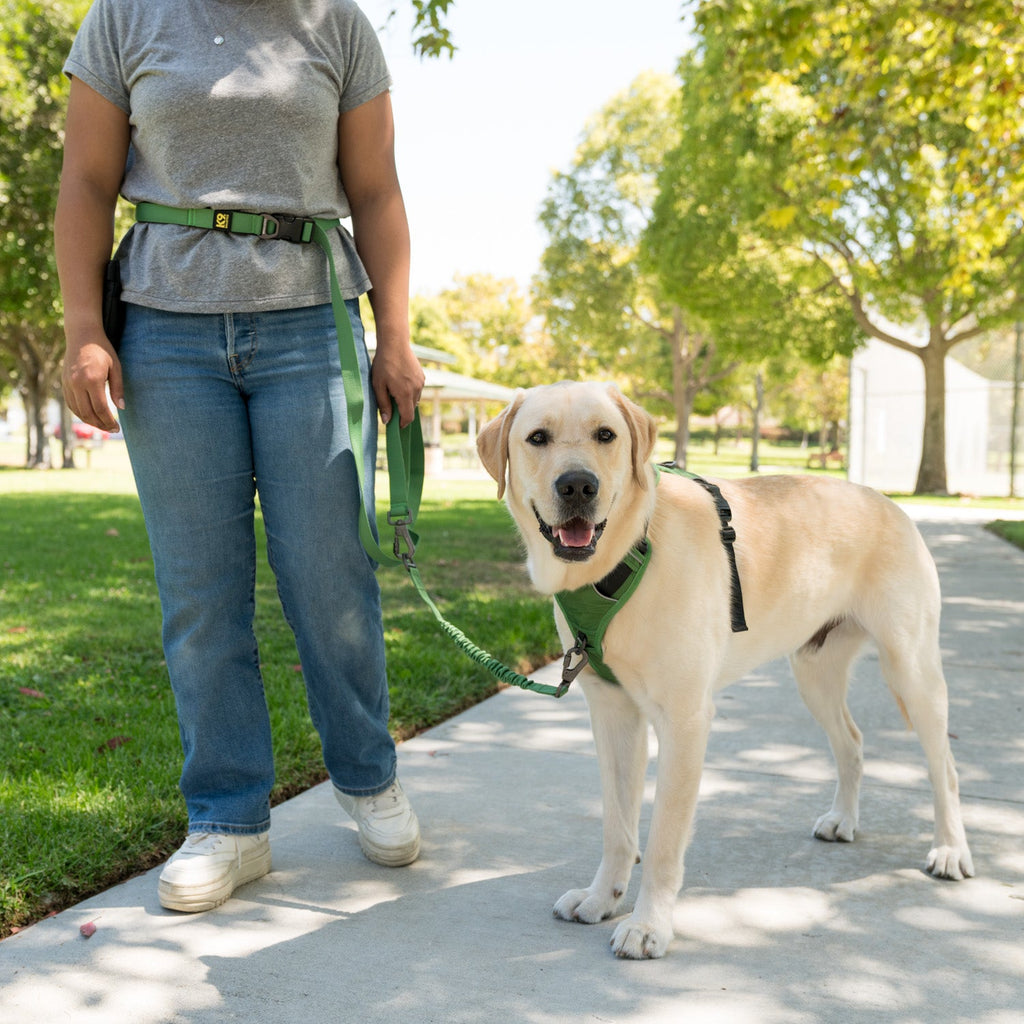 K9 Everyday™ Dog Harness