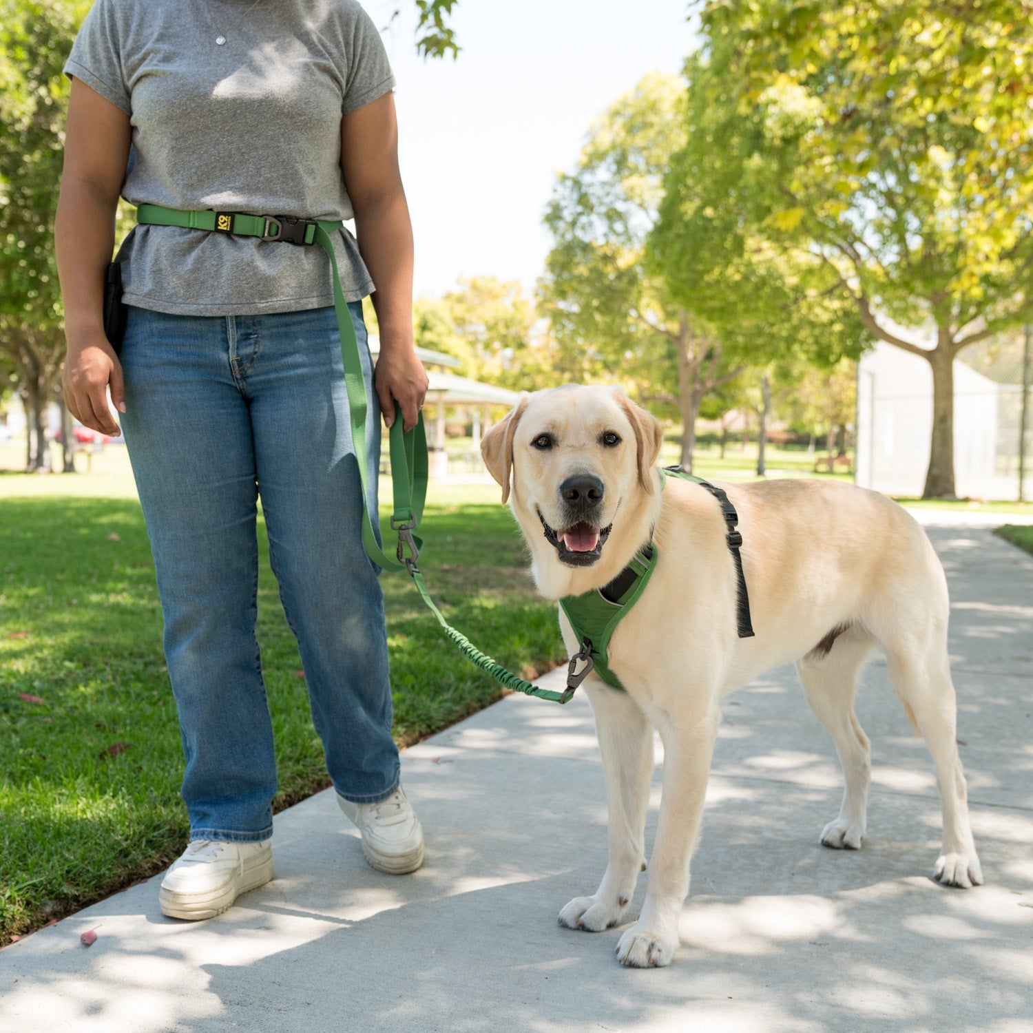 K9 Everyday™ Dog Harness