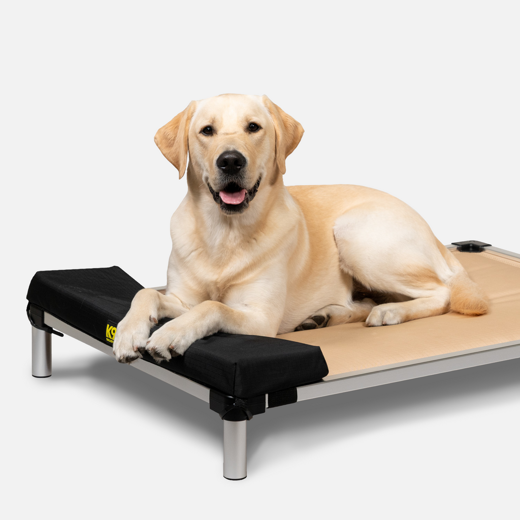 Tough Ripstop™ Pillow Headrest for Elevated Dog Beds