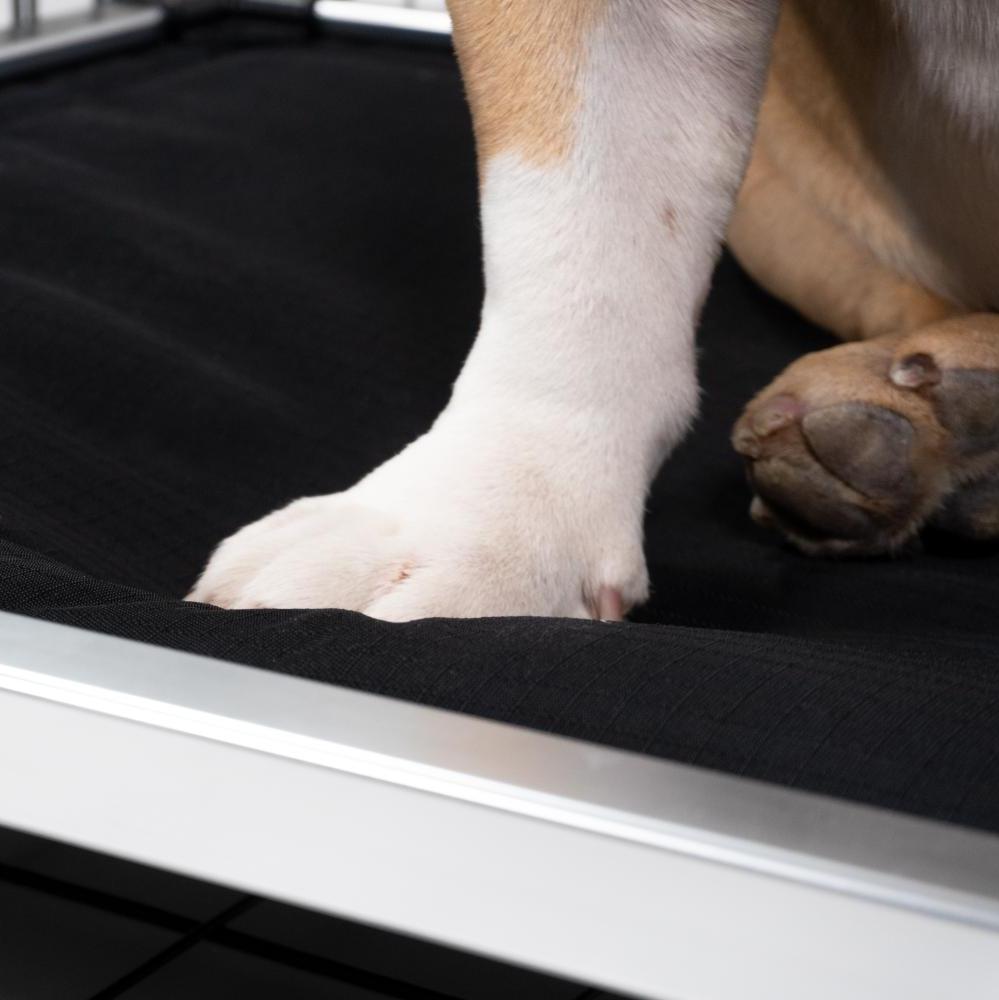 Chew Proof Armored™ Padded Dog Crate Bed