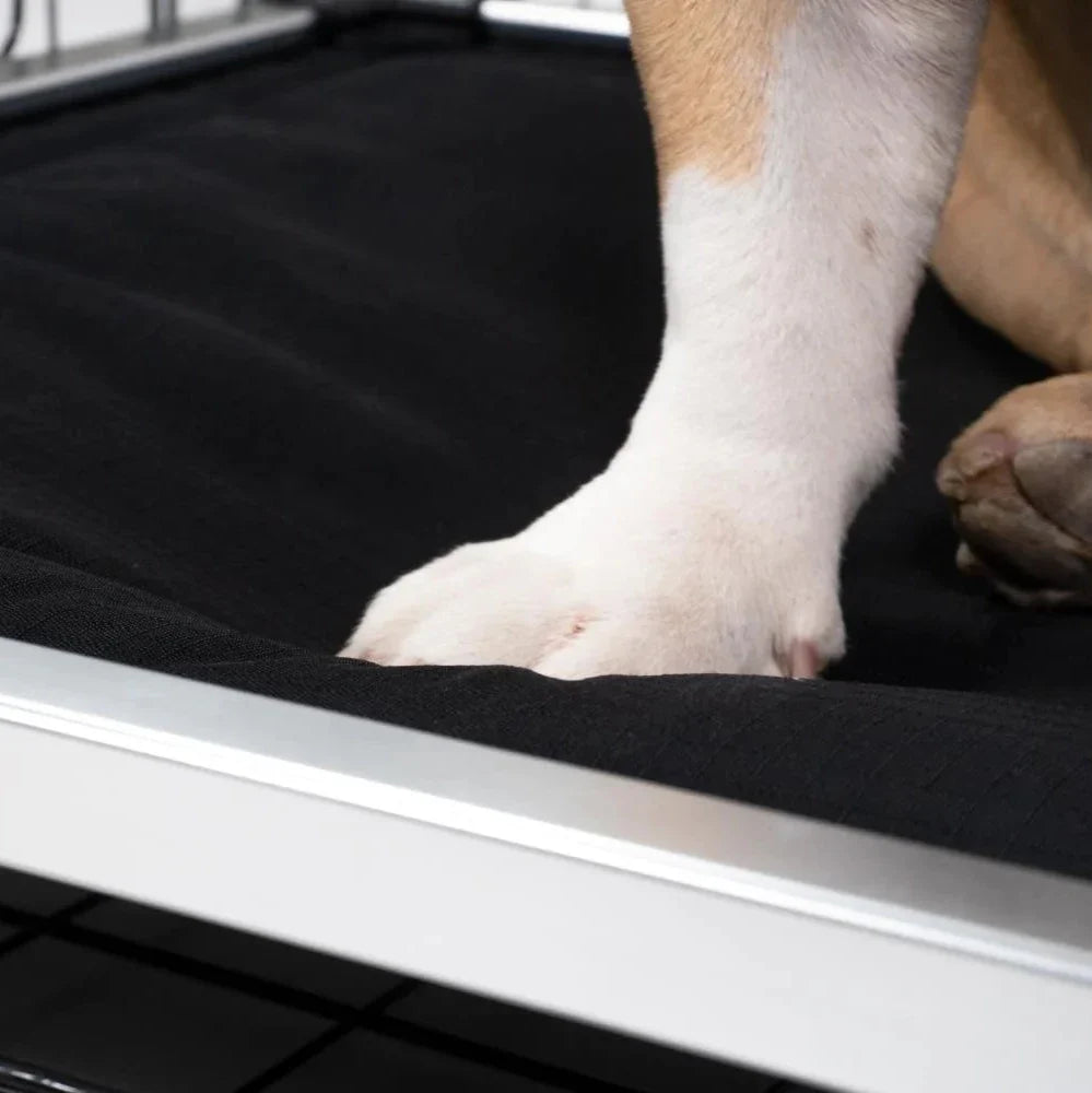 Chew Proof Armored™ Padded Dog Crate Bed - Open Box