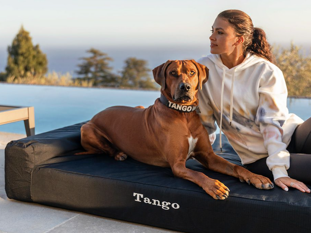 Tough Ripstop™ Giant 7" Orthopedic Dog Bed Cover (Updated Design)