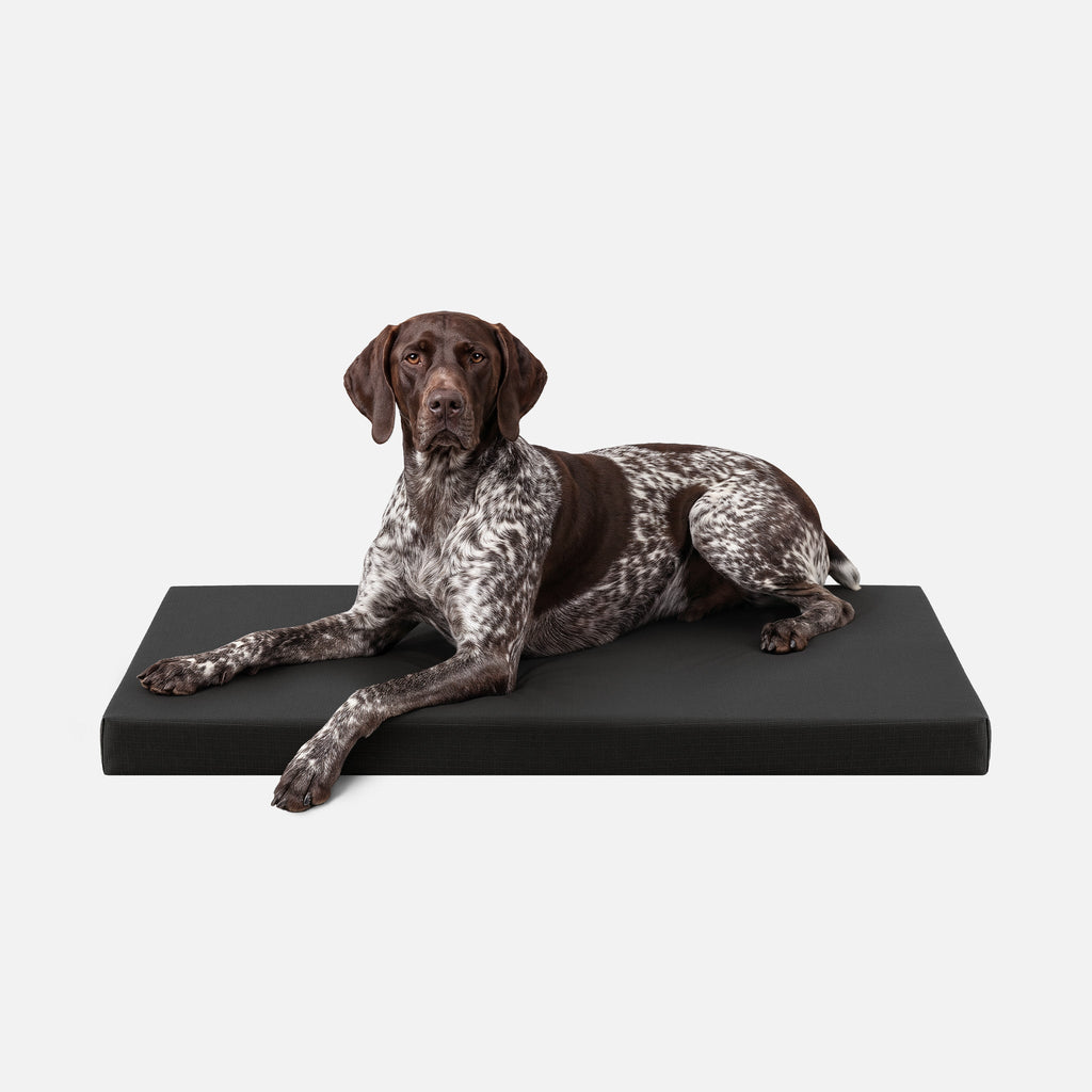 Tough Ripstop™ Orthopedic Dog Crate Bed