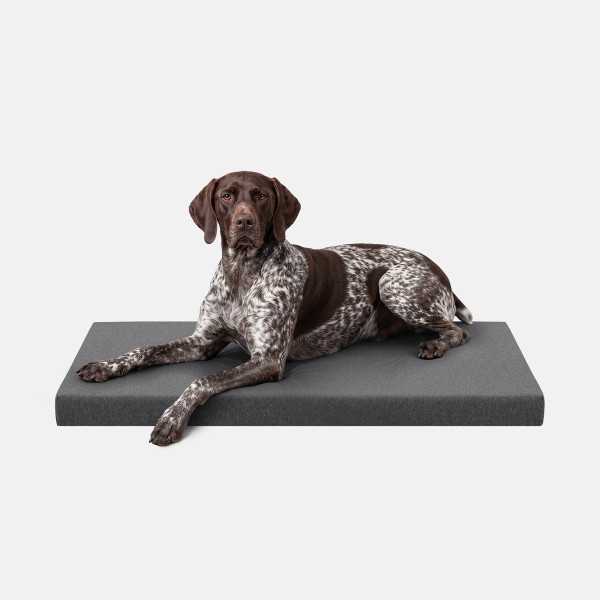 Tough Ripstop™ Orthopedic Dog Crate Bed
