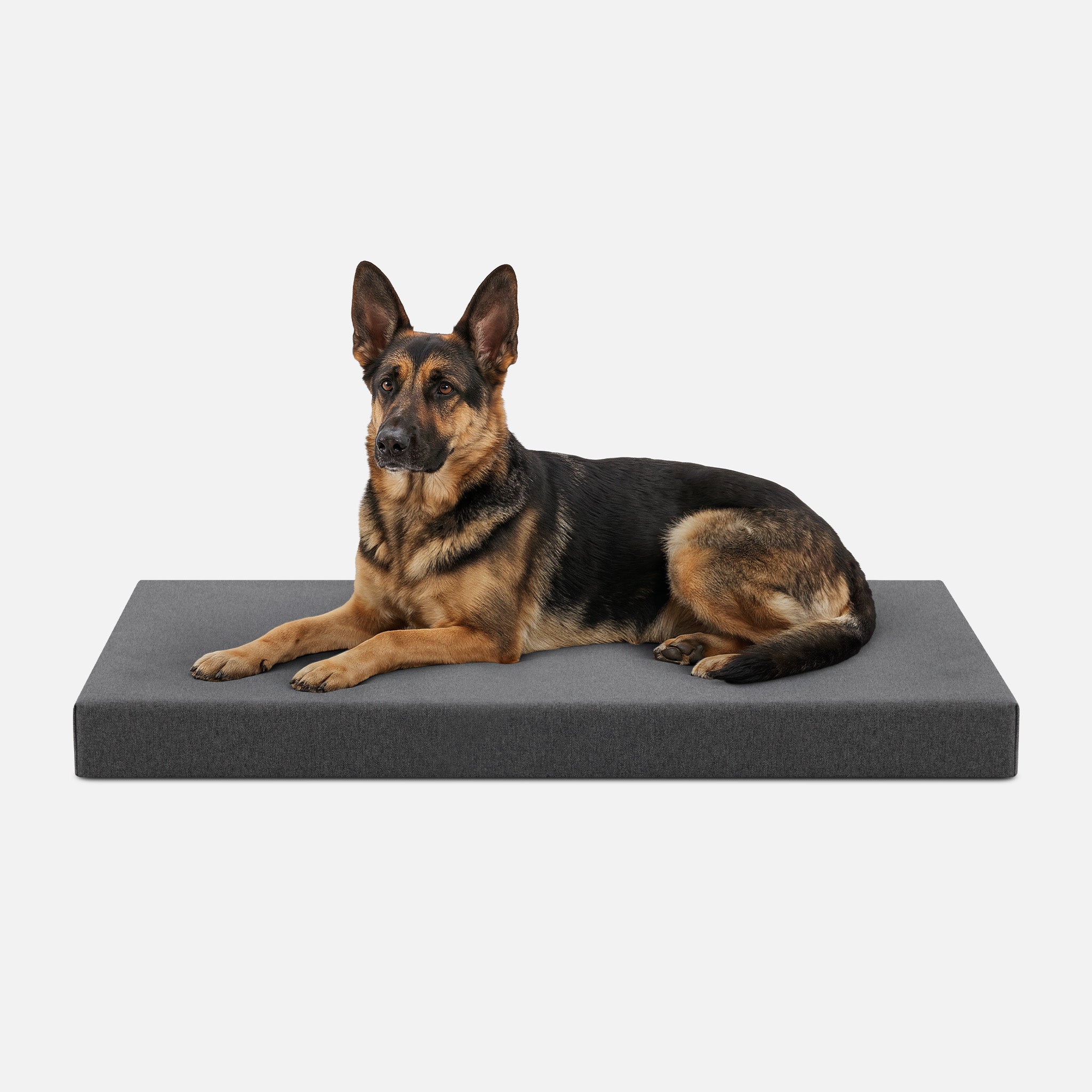 Tough Ripstop™ Orthopedic Dog Crate Bed
