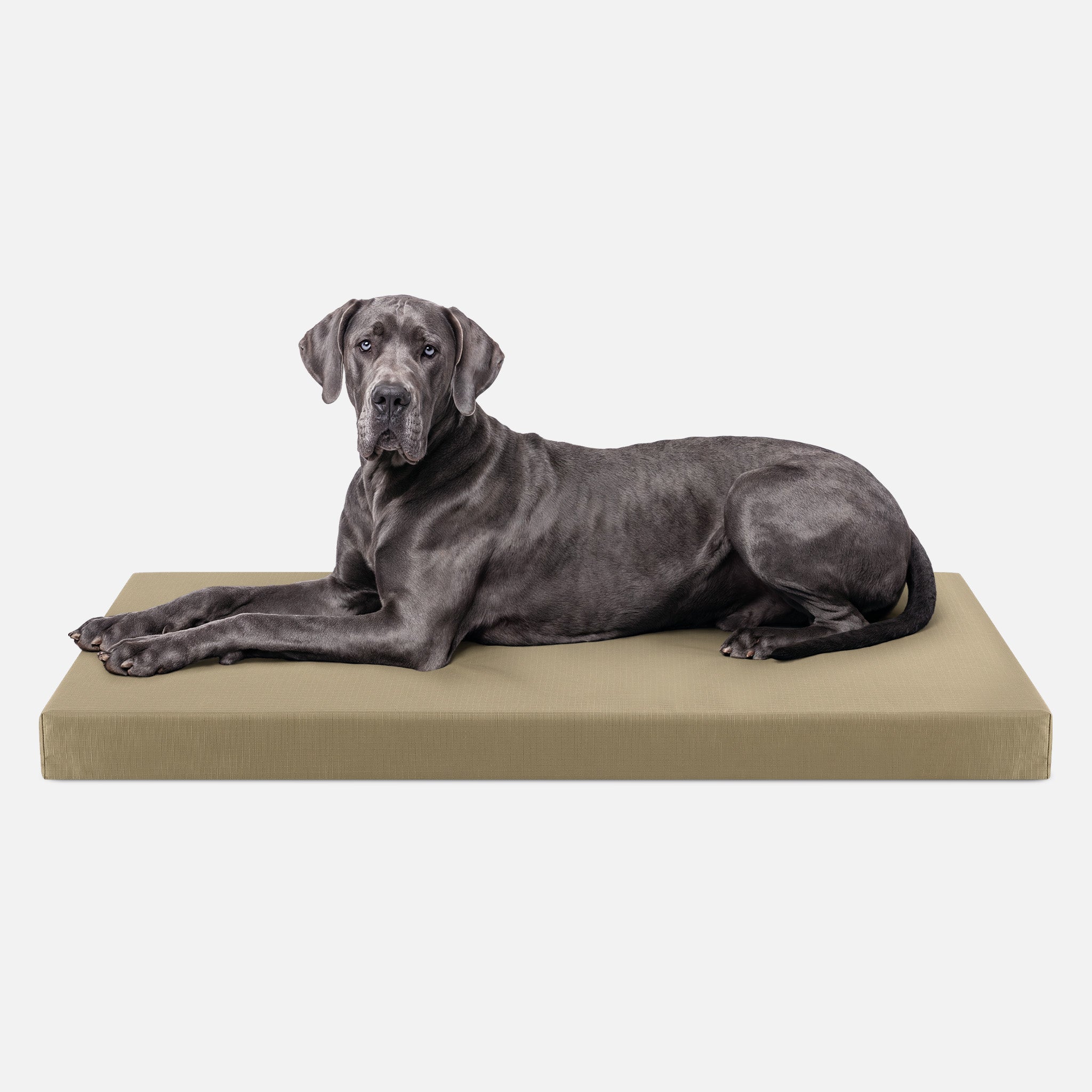 Tough Ripstop™ Orthopedic Dog Crate Bed